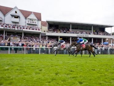 Timeform analyse the in-running angles at Haydock